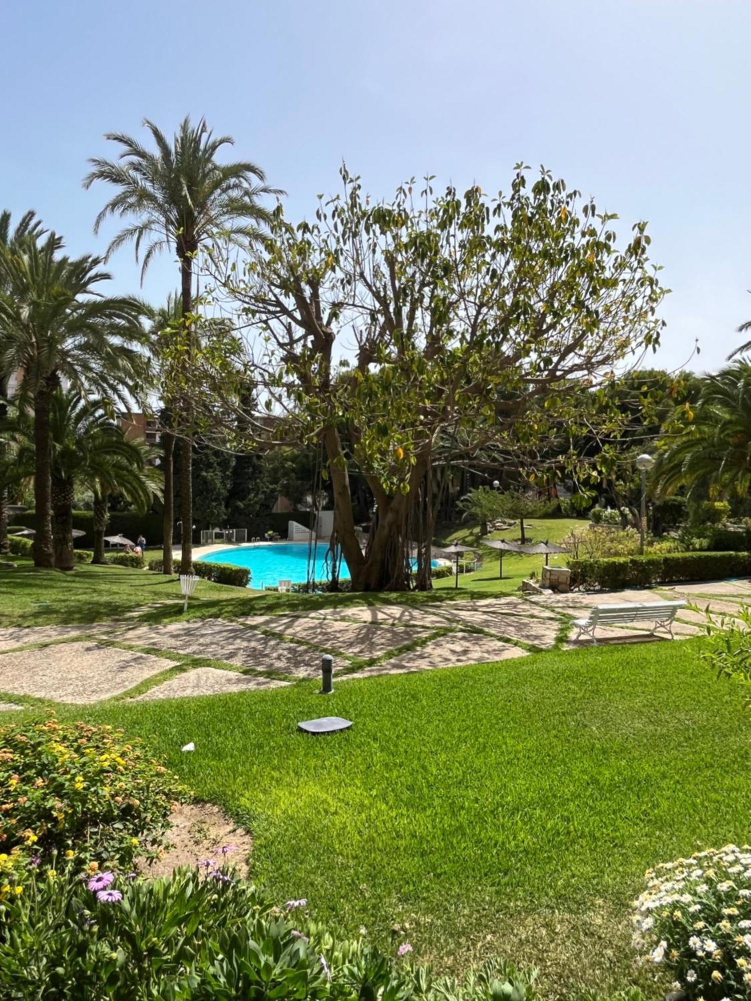 Parque La Chicharra Near Alicante And Beach Exterior foto